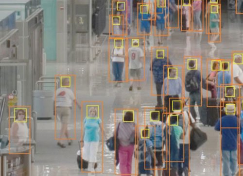 crowd monitoring